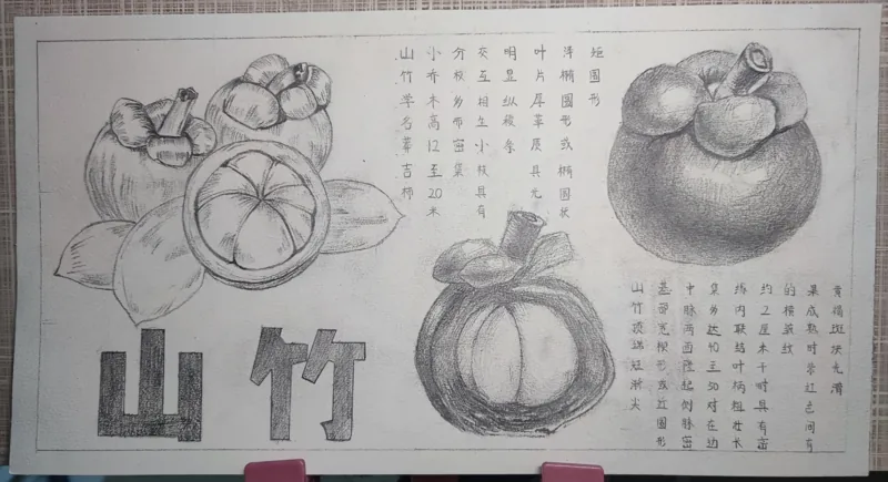 手绘作品 03